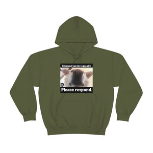 Unisex Heavy Blend “I showed you my squeaky” hoodie. 8 colors!