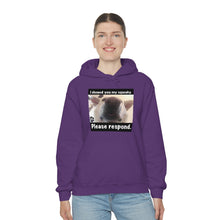 Load image into Gallery viewer, Unisex Heavy Blend “I showed you my squeaky” hoodie. 8 colors!
