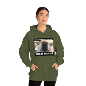 Unisex Heavy Blend “I showed you my squeaky” hoodie. 8 colors!