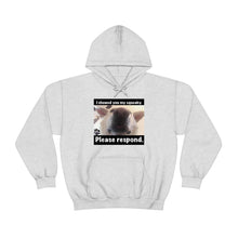 Load image into Gallery viewer, Unisex Heavy Blend “I showed you my squeaky” hoodie. 8 colors!
