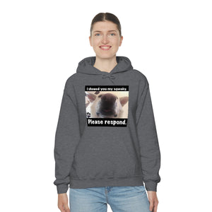 Unisex Heavy Blend “I showed you my squeaky” hoodie. 8 colors!