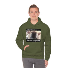 Load image into Gallery viewer, Unisex Heavy Blend “I showed you my squeaky” hoodie. 8 colors!
