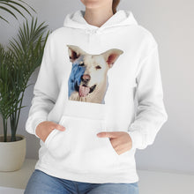 Load image into Gallery viewer, Unisex Heavy Blend Hooded Sweatshirt in 8 Colors!

