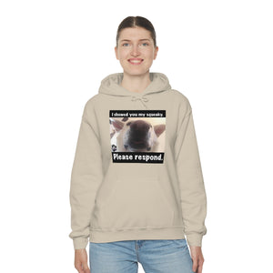 Unisex Heavy Blend “I showed you my squeaky” hoodie. 8 colors!