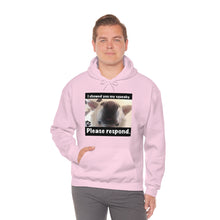 Load image into Gallery viewer, Unisex Heavy Blend “I showed you my squeaky” hoodie. 8 colors!
