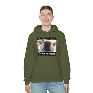 Unisex Heavy Blend “I showed you my squeaky” hoodie. 8 colors!