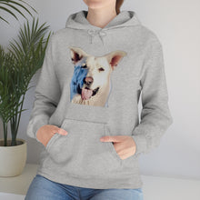 Load image into Gallery viewer, Unisex Heavy Blend Hooded Sweatshirt in 8 Colors!
