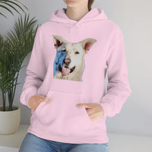 Load image into Gallery viewer, Unisex Heavy Blend Hooded Sweatshirt in 8 Colors!
