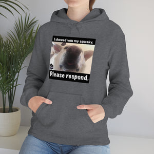 Unisex Heavy Blend “I showed you my squeaky” hoodie. 8 colors!