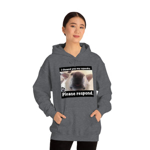 Unisex Heavy Blend “I showed you my squeaky” hoodie. 8 colors!